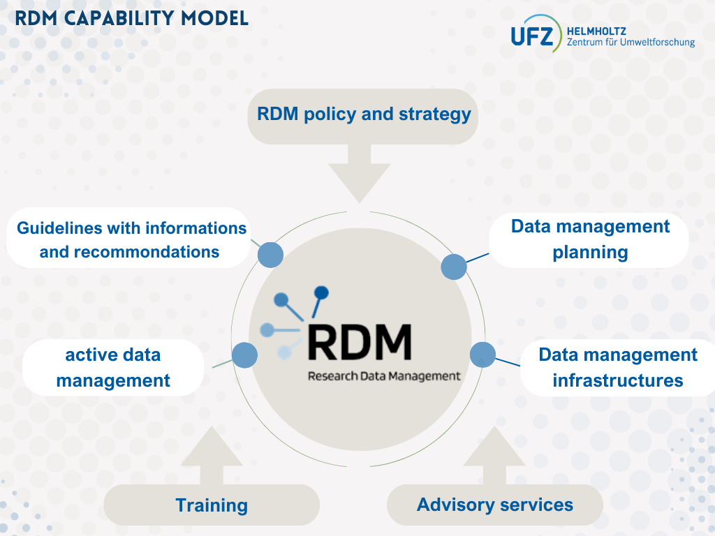 RDM Capability Model